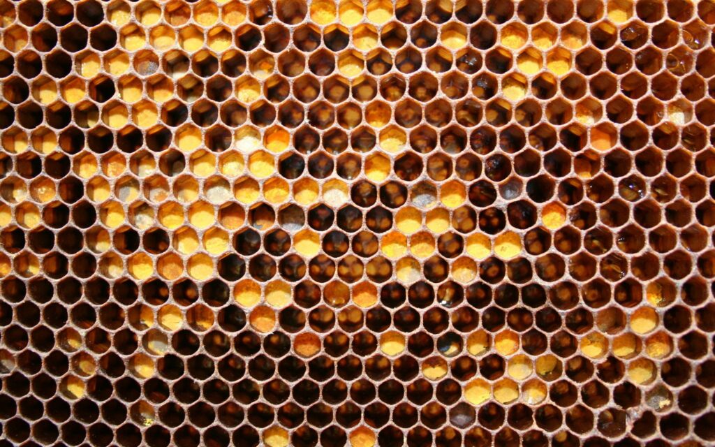 Intricate Honeycomb Wallpaper: Hexagonal Cells & Golden Honey Background