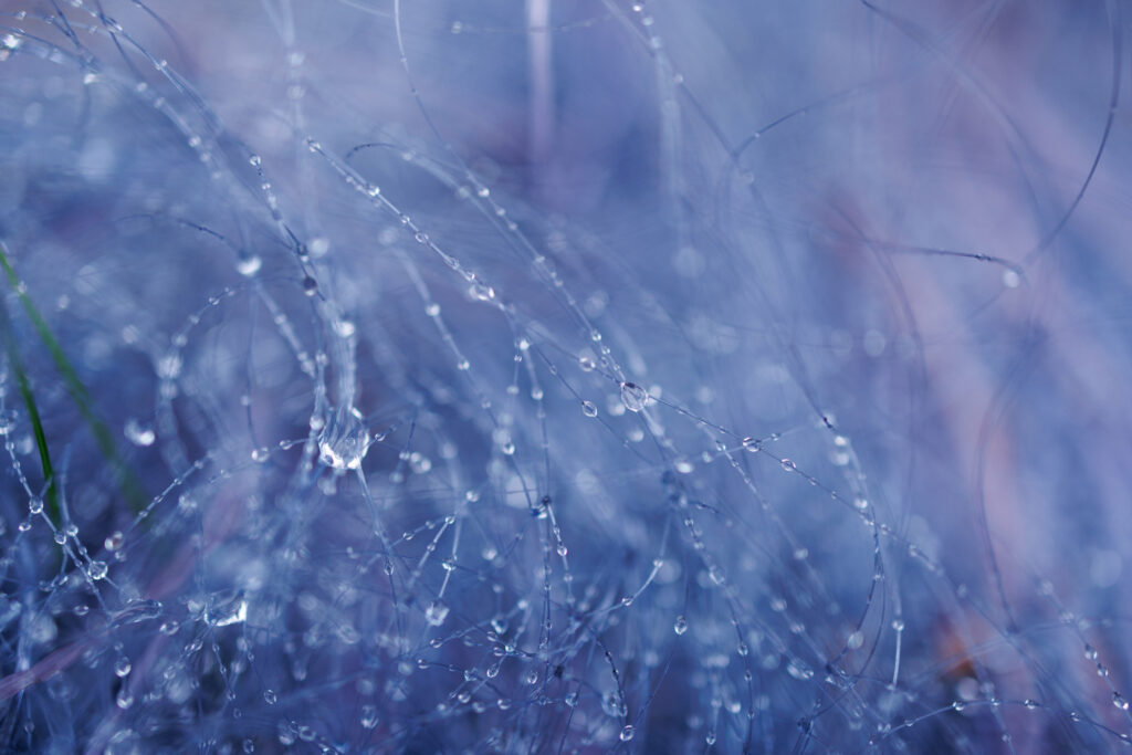 “Serene Water Droplets on Thin Lines - Macro Wallpaper Background”