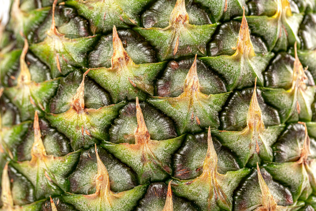 Close-Up Pineapple Wallpaper: Vibrant Macro Textures & Hues