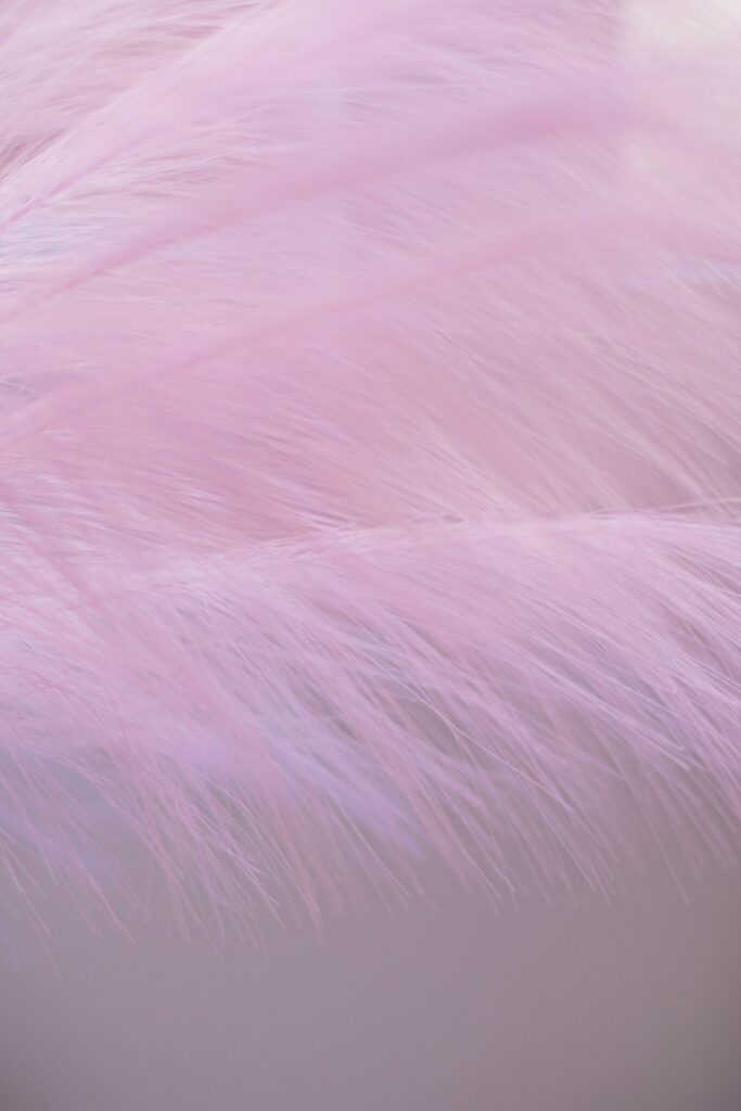Close-Up Pinkish-Purple Feather Wallpaper - Intricate Texture Background