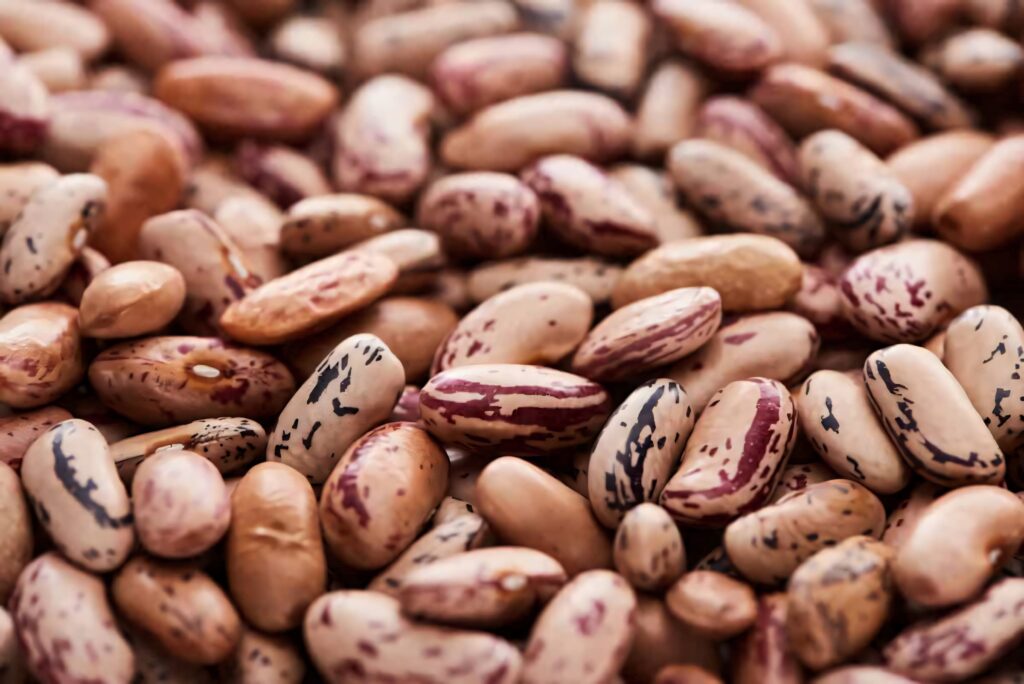 Close-up of speckled pinto beans with earthy tones detailed natural wallpaper background