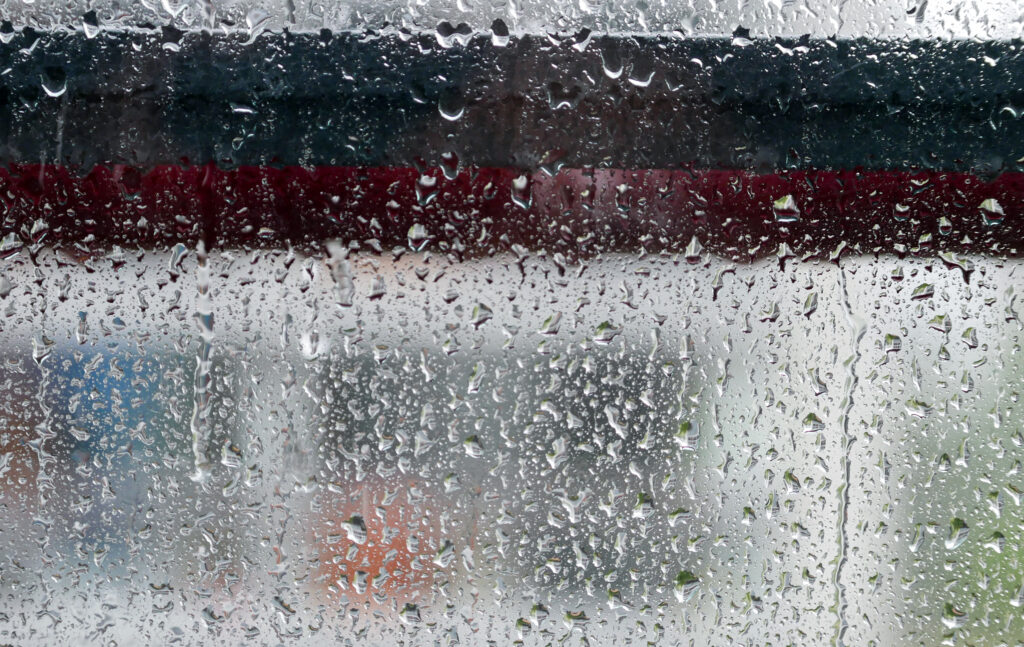 Calming Macro Rain Droplets Wallpaper Background for Serenity