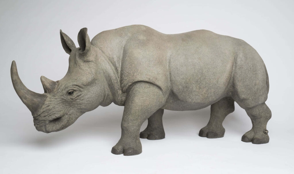 Stunning Rhinoceros Close-Up Wallpaper: Texture & Strength Showcase
