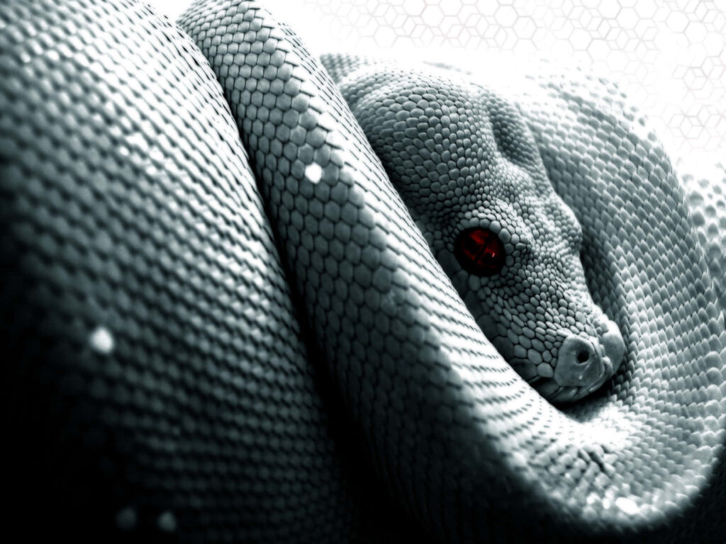 Intricate Coiled Snake Wallpaper with Vivid Red Eye and Soft Background