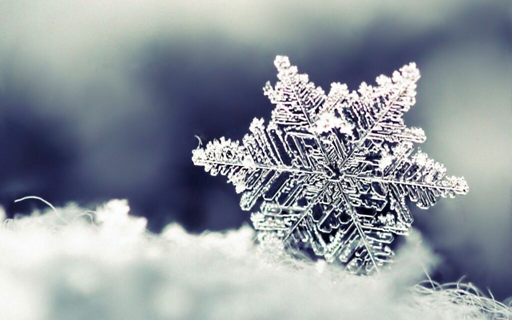 Intricate Snowflake Close-Up: Winter Beauty Wallpaper Background