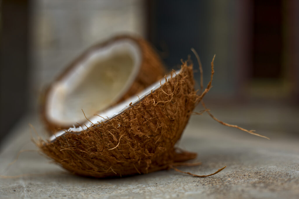 Tropical Split Coconut Close-Up: Rough Shell & White Interior Wallpaper