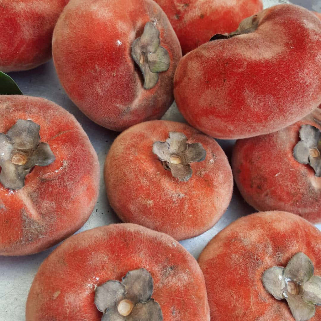 Close-up velvet textured red orange apples wallpaper showing soft fuzzy natural fruit surface