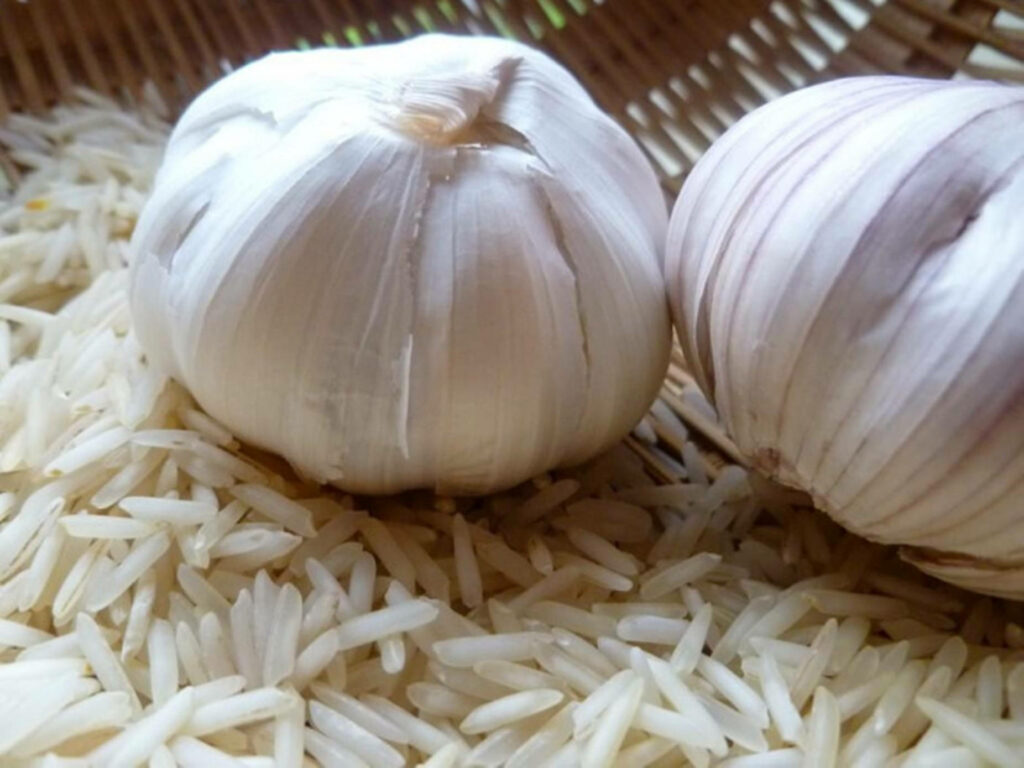Natural Textures: Close-Up Garlic Cloves on Rice Wallpaper Background