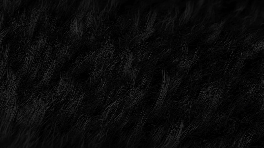 Intricate Black Hair Wallpaper: Detailed Close-Up Background Design