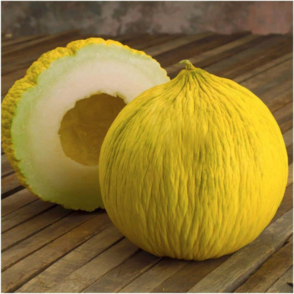 Golden Casaba Melon Close-Up Wallpaper on Rustic Wood Background