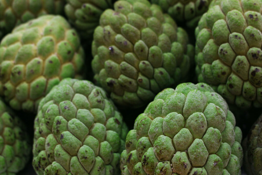 Close-Up of Ripe Green Sugar Apples: Nature's Textured Beauty Wallpaper