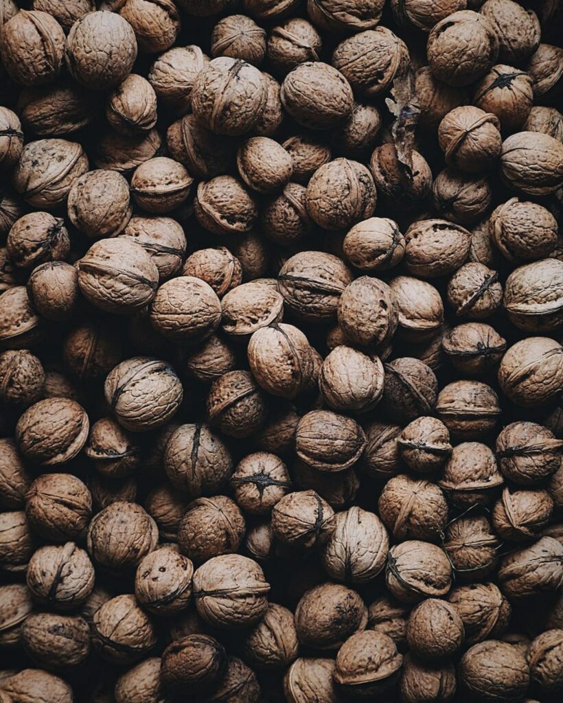 Close-Up Walnut Wallpaper: Natural Shells & Textured Earthy Tones