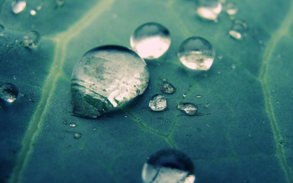 Close-Up Water Droplets on Smooth Green Surface - Detailed Wallpaper