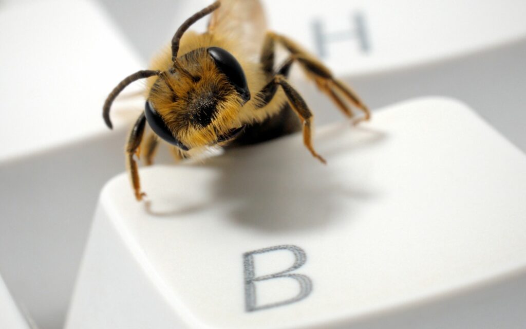 “Close-Up of Bee on White Keyboard Key 'B' – Intricate Insect Details” Wallpaper