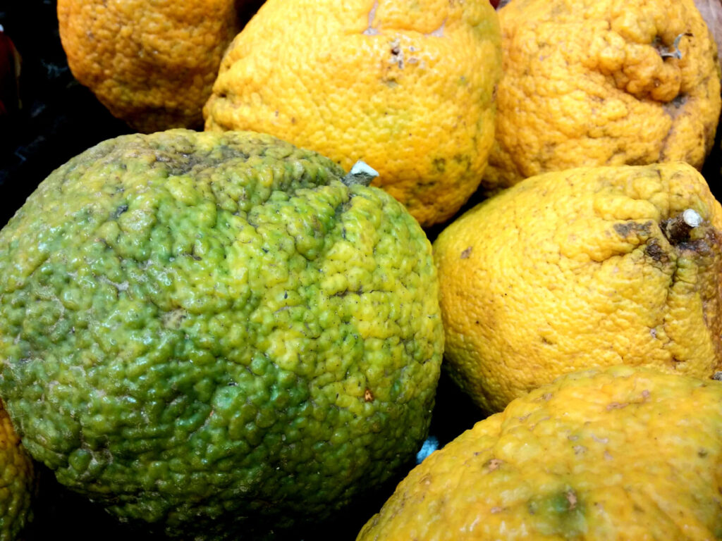 Vibrant Ugli Fruit Close-Up: Textured Peel Wallpaper Background