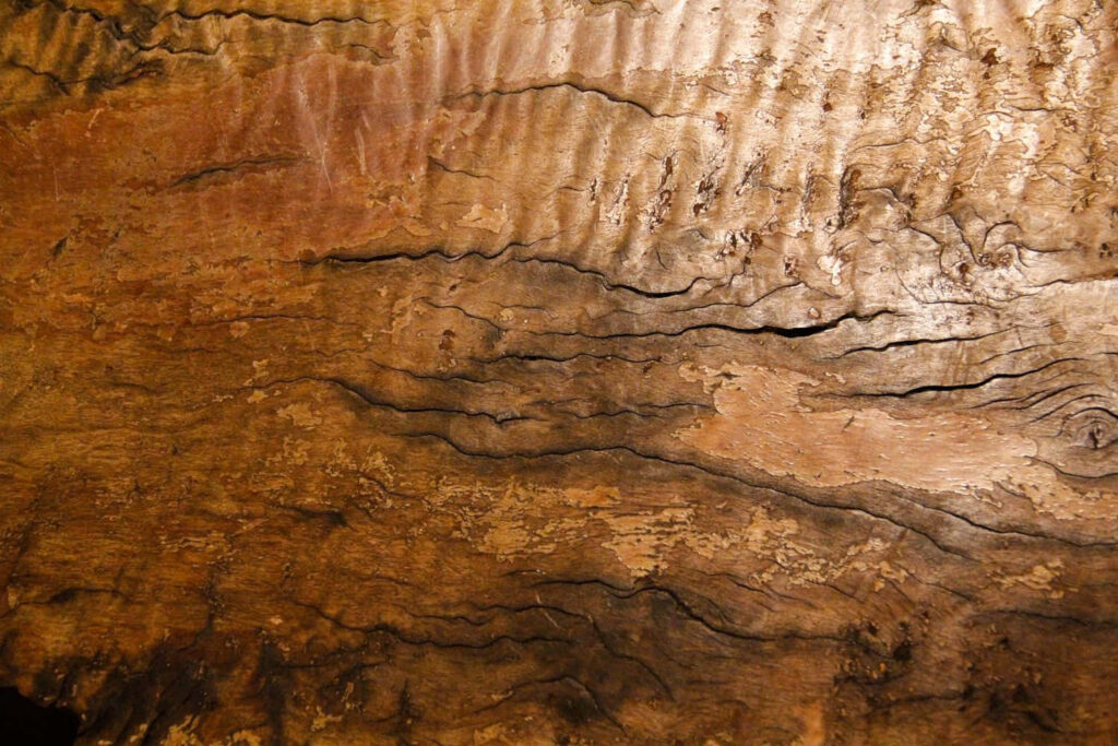 Close-Up of Rough Wooden Surface with Rich Earthy Grain Patterns Wallpaper
