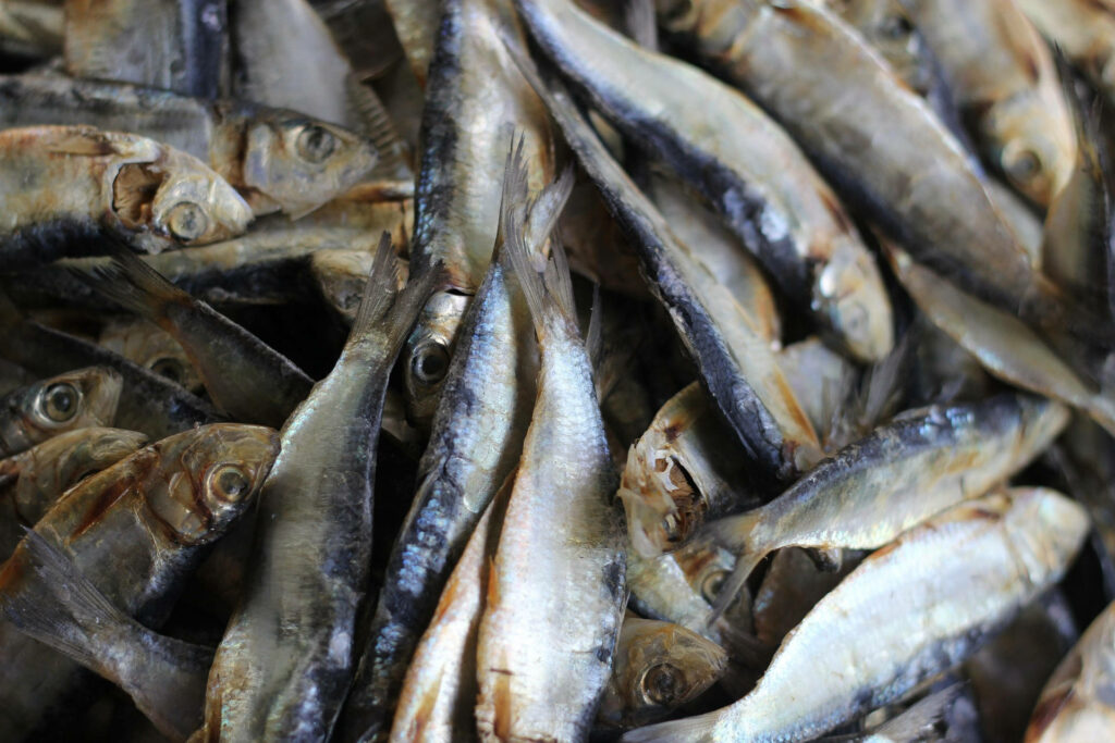 Shiny Dried Small Herrings: Close-Up with Detailed Silvery Scales Wallpaper