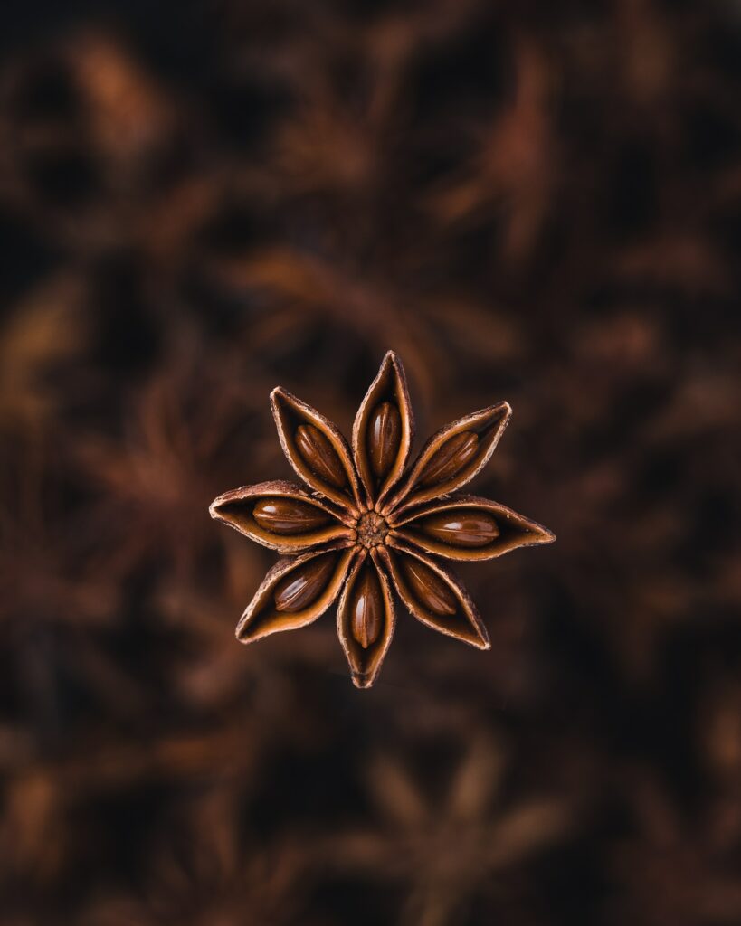 Intricate Star Anise Spice Close-Up: Brown Star-Shaped Beauty Wallpaper
