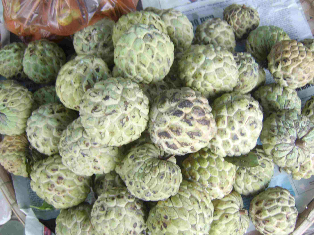 Textured Green Custard Apples Wallpaper with Black Blotches