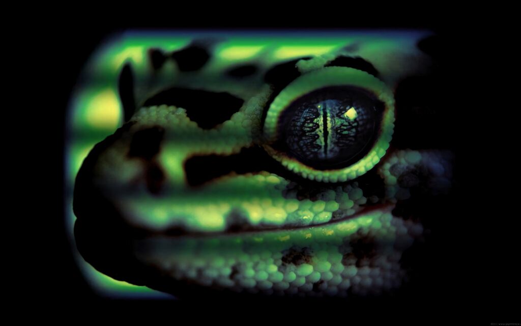 Close-up of a Leopard Gecko eye and textured skin in vivid green and black tones wallpaper
