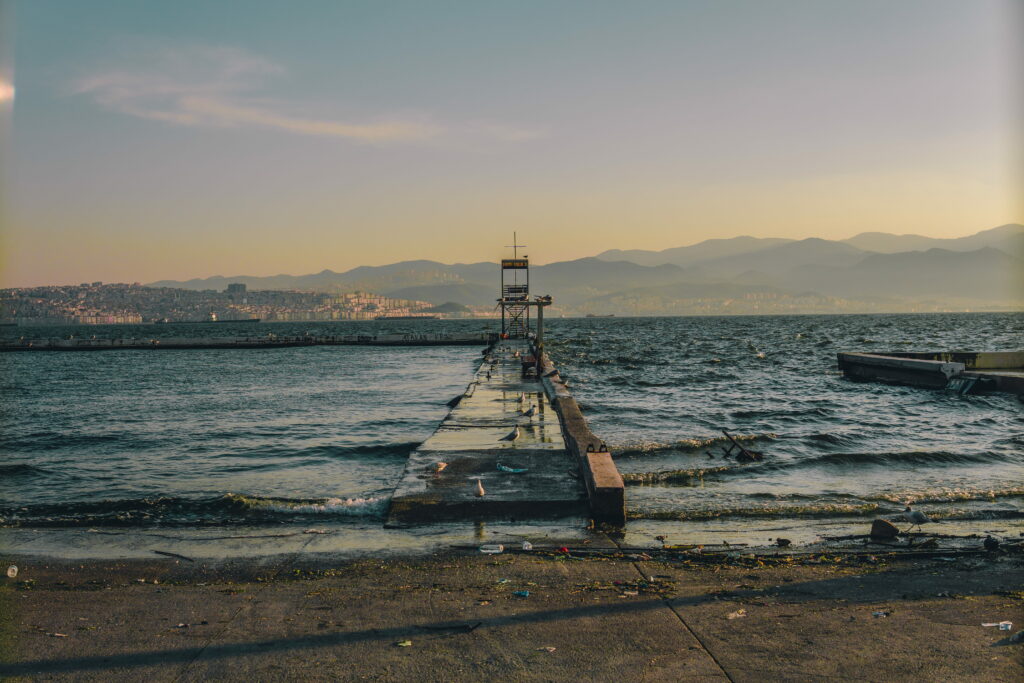 Beachside Birdlife: Capturing the Vibrant Trend of Sunrise and Sunset Vibes Wallpaper