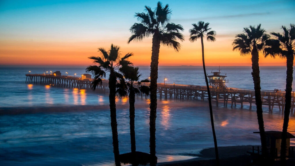 Tropical Paradise: Majestic Palm Trees along Malibu Coastline Wallpaper