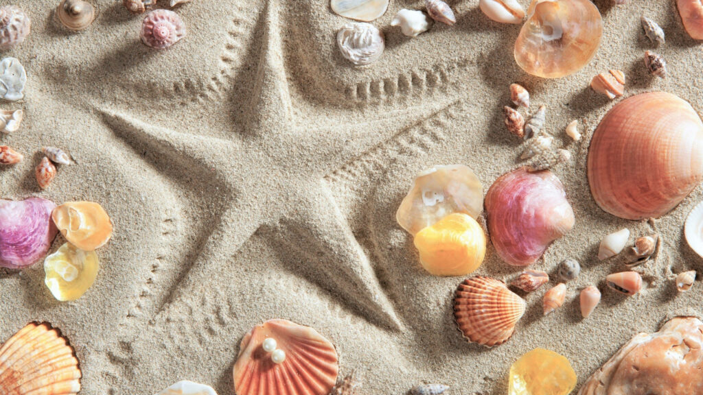 Clams and colorful seashells on golden sand with sun star pattern beach wallpaper background