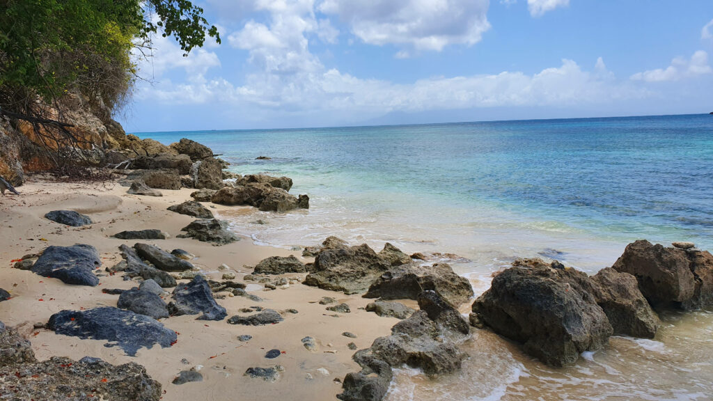 Exploring the Stunning Rocky Shorelines of Guadeloupe - Gorgeous Travel Snapshot Wallpaper