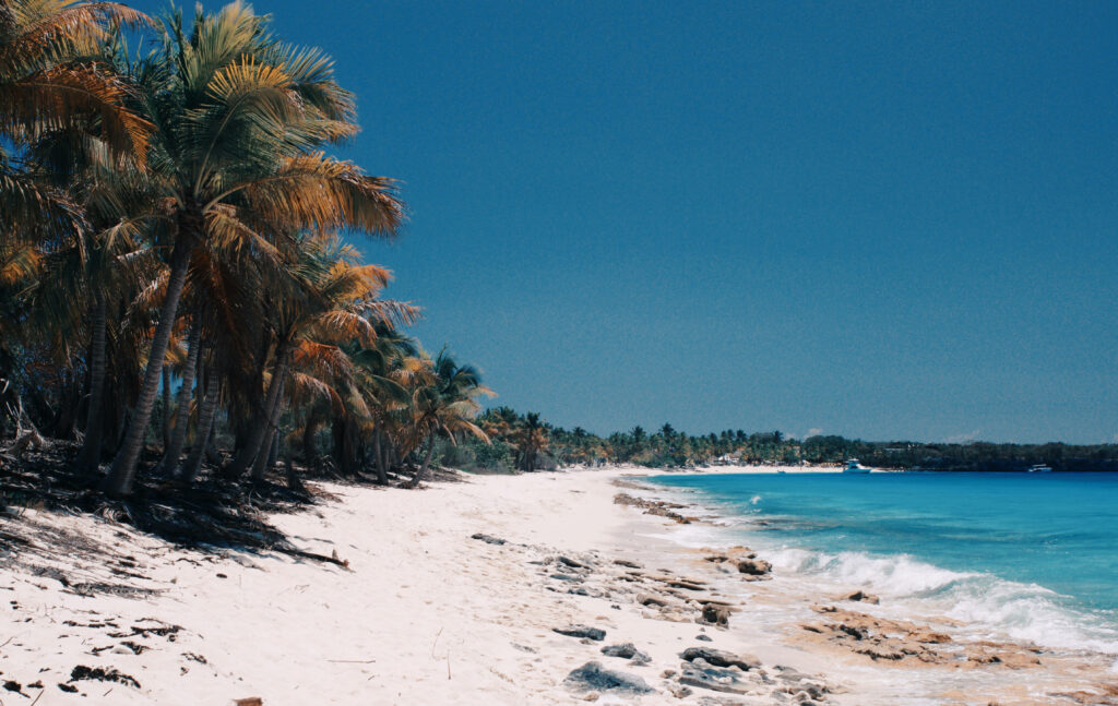 Coconut Paradise: Stunning Dominican Republic Beach Wallpaper in 1920x1080 HD