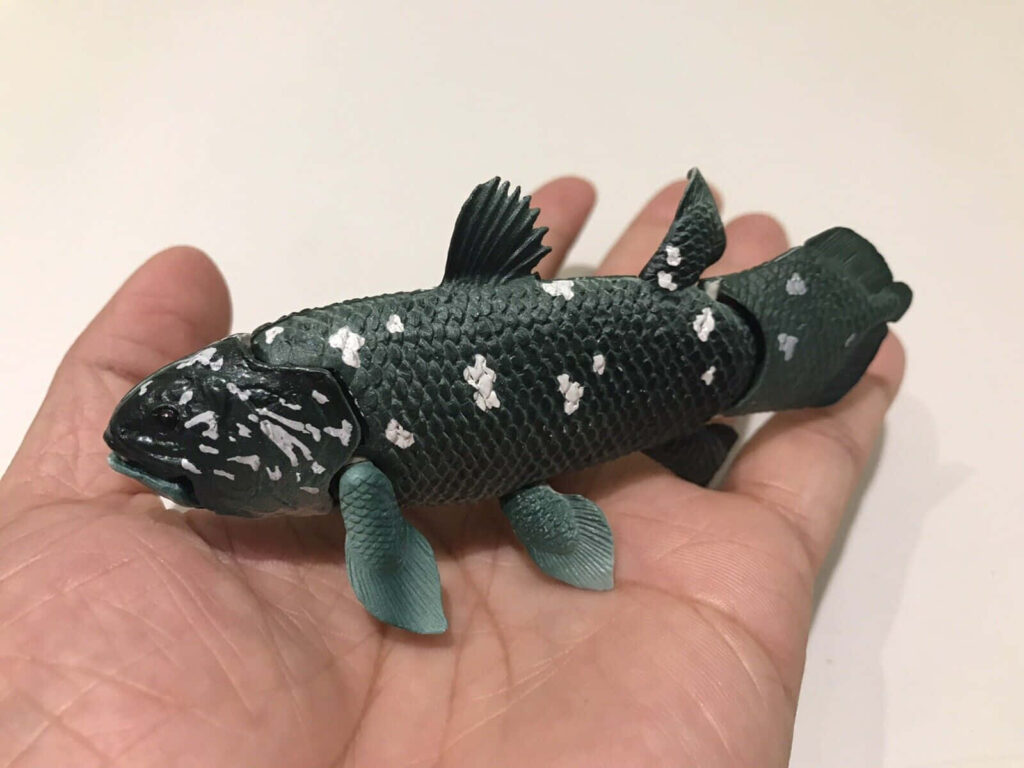Detailed coelacanth model with textured scales resting in human hand prehistoric fish wallpaper