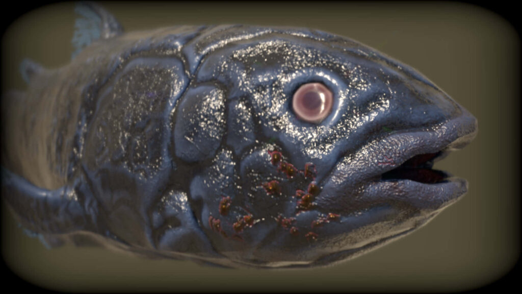 Close-up of Coelacanth fish showing prehistoric textured scales with deep blue and grey tones Wallpaper