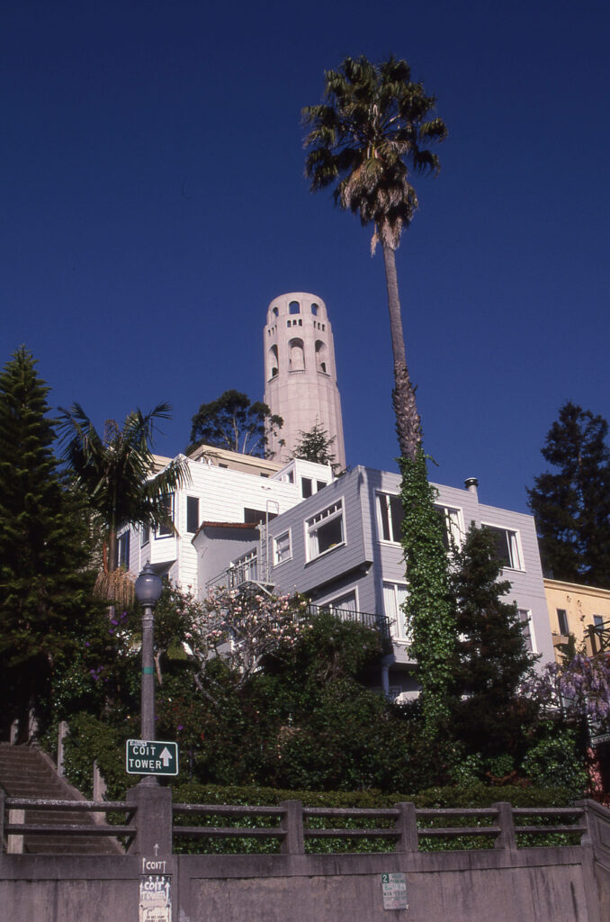 Coit Tower above pastel San Francisco houses surrounded by lush greenery under blue sky wallpaper