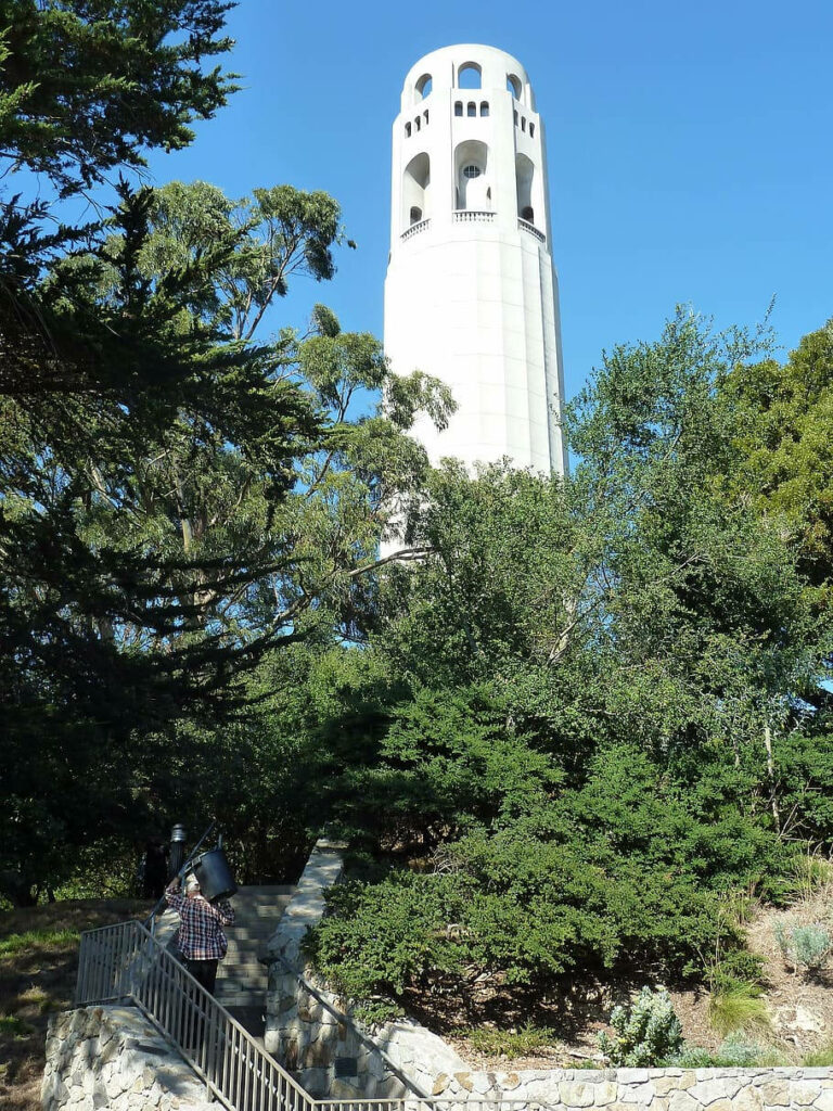 Coit Tower rising above green trees with urban climber ascending in clear blue sky background Wallpaper