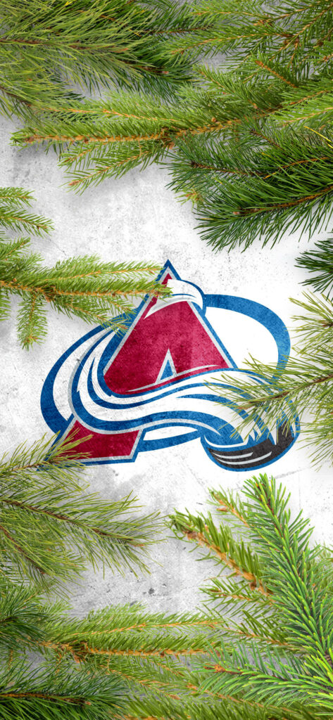 Colorado Avalanche logo on textured white background with lush fir tree branches wallpaper