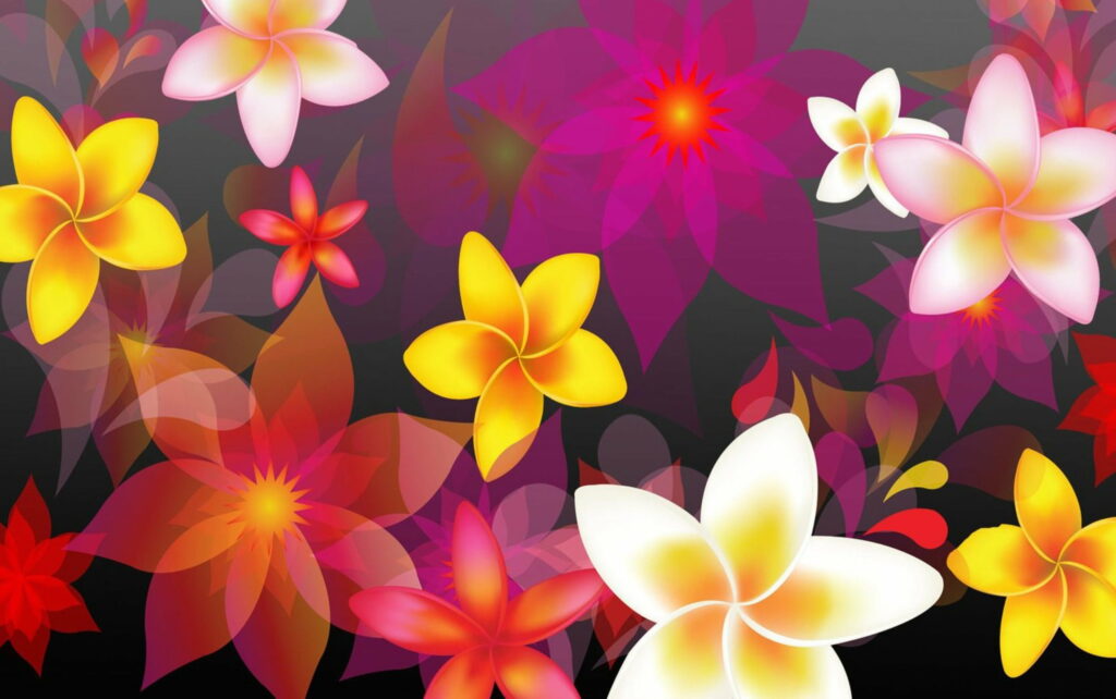 Vibrant abstract Plumeria floral wallpaper with yellow pink white flowers on magenta background