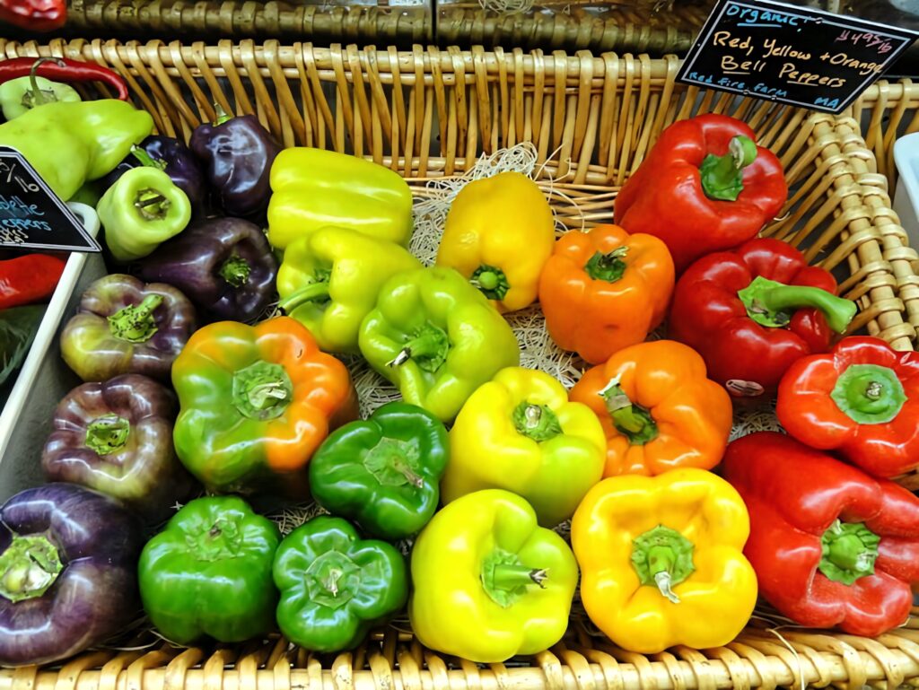 Colorful fresh bell peppers in red yellow green purple and orange arranged in a basket Wallpaper