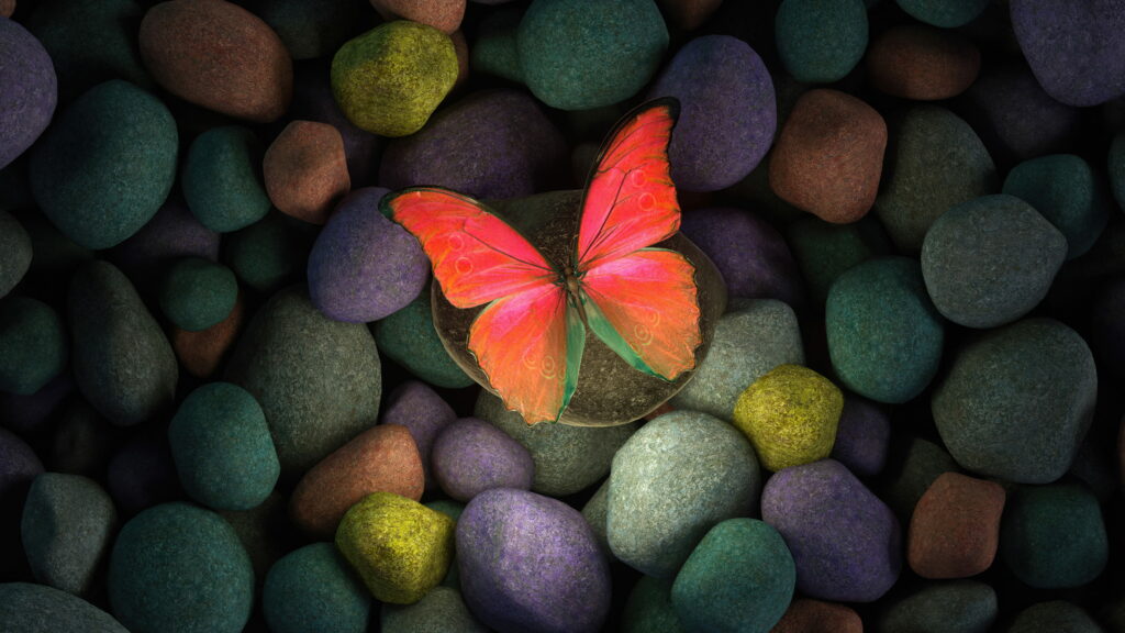 Colorful Focus: Aesthetic Butterfly Blessing in Stone-Pebbled Wonderland Wallpaper