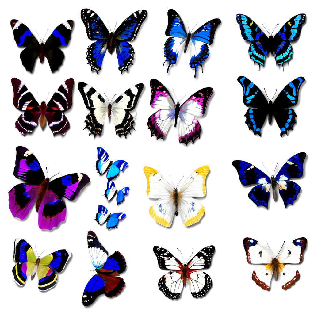 Vibrant Butterfly Illustrations on Gradient Wallpaper Background