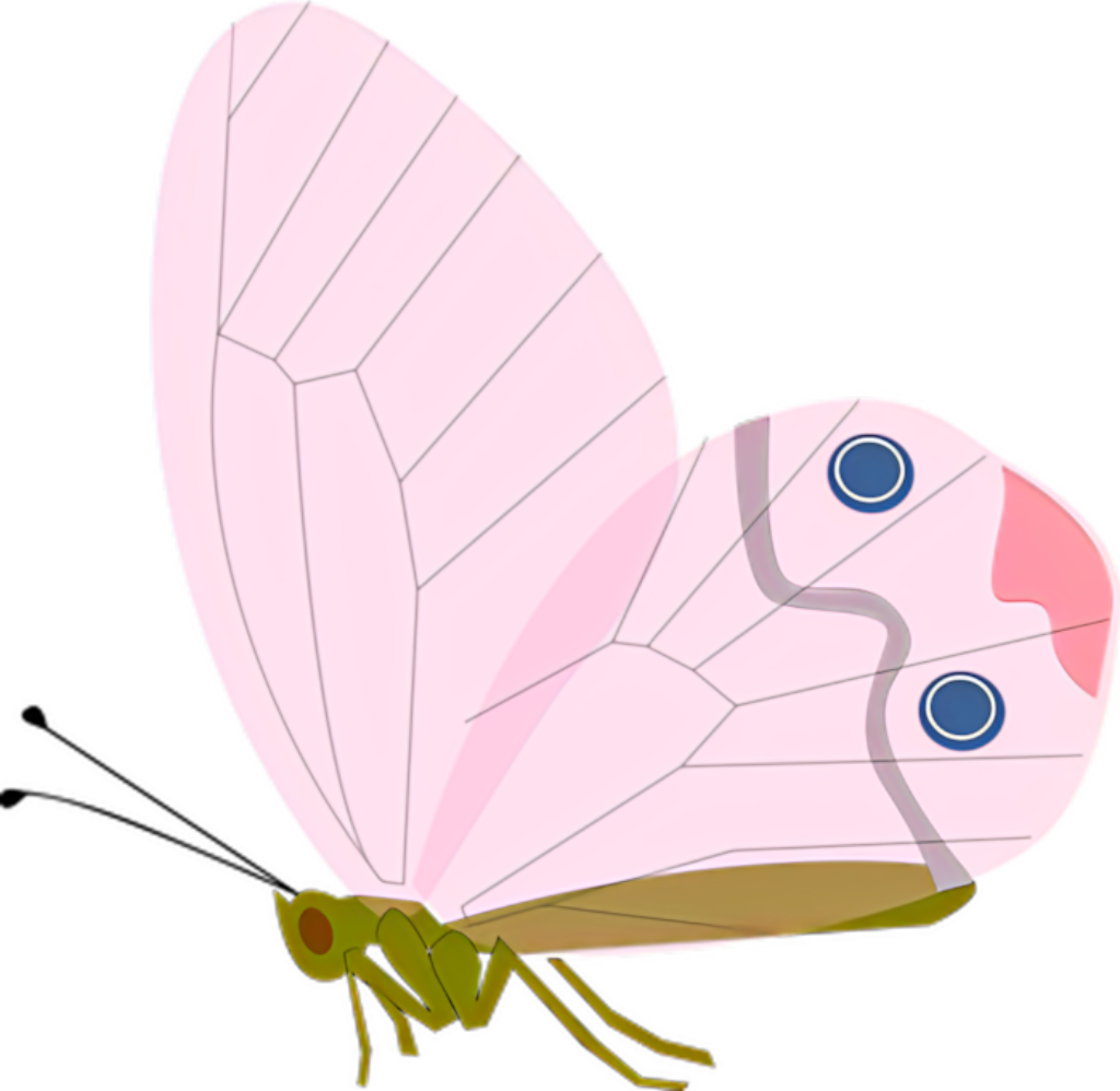 Vibrant Pink Butterfly Vector Illustration - Artistic Wallpaper Background