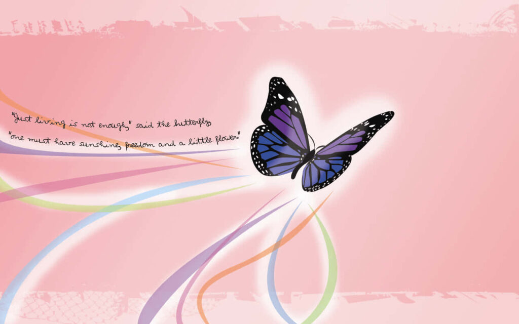 Colorful Butterfly Wallpaper: Artistic Close-Up on Soft Pink Background