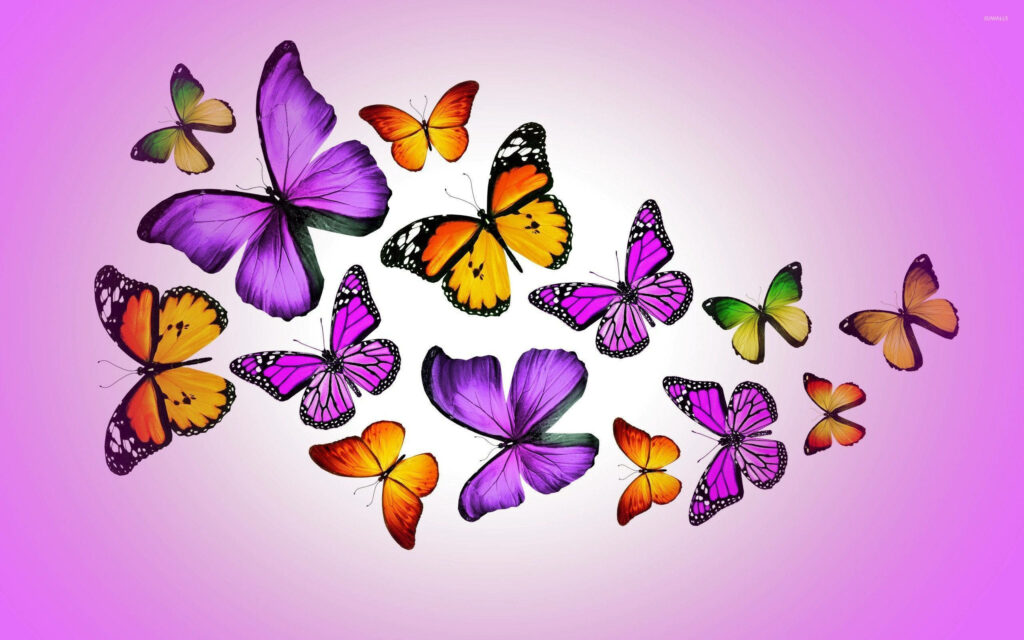 Vibrant Butterfly Wallpaper: Colorful Purple, Orange & Green Design