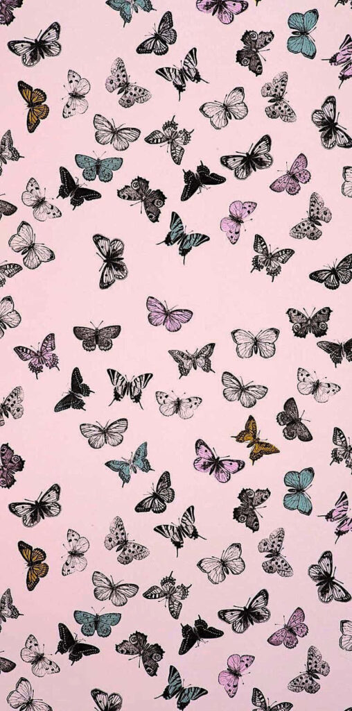 Elegant Pink Butterfly Wallpaper Background - Colorful & Lively Design