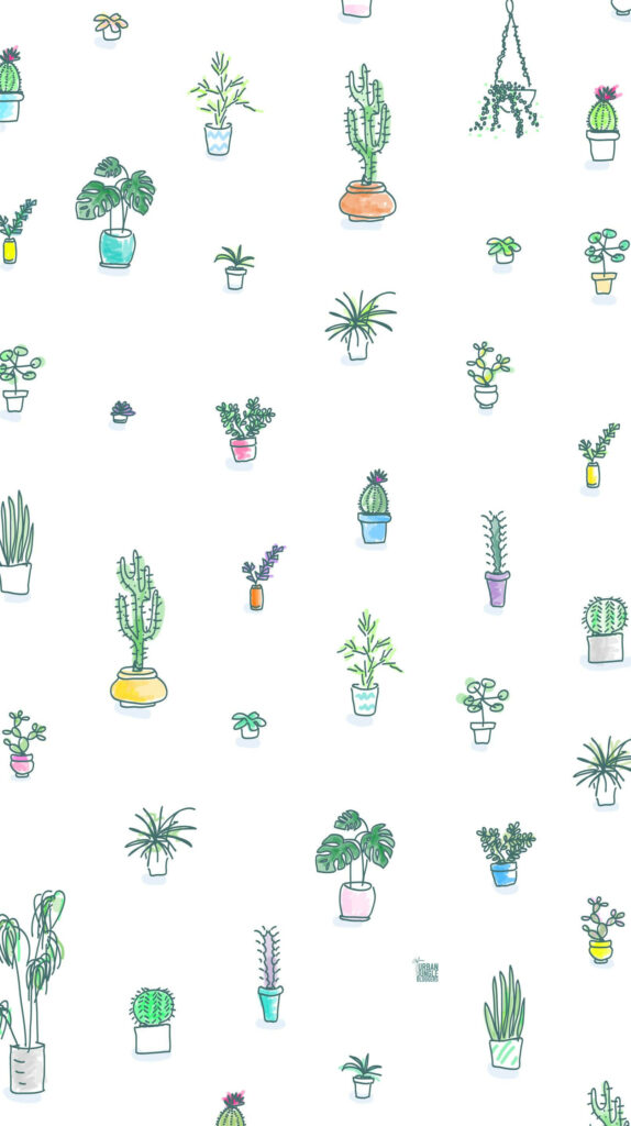 Vibrant Cactus Delight: Adorable Lock Screen Background for Your iPhone Wallpaper