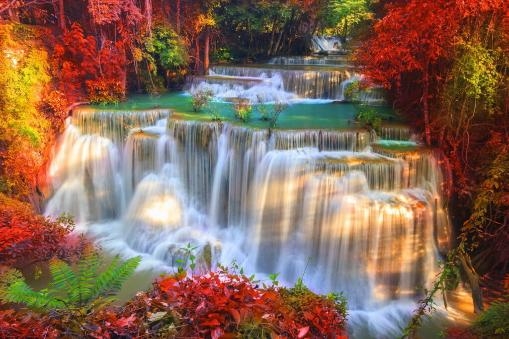 Enchanting Autumn Cascades: A Colorful Symphony of Nature's Hues in Bonito Forest HD Wallpaper