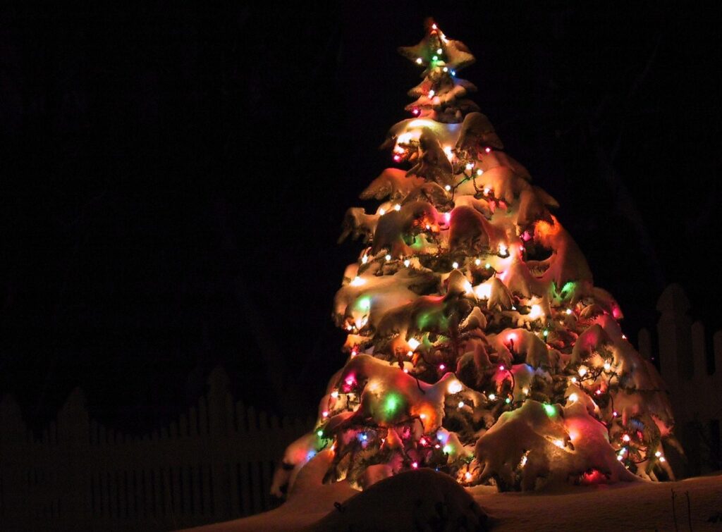 Charming Christmas Tree Wallpaper: Festive Winter Night Background
