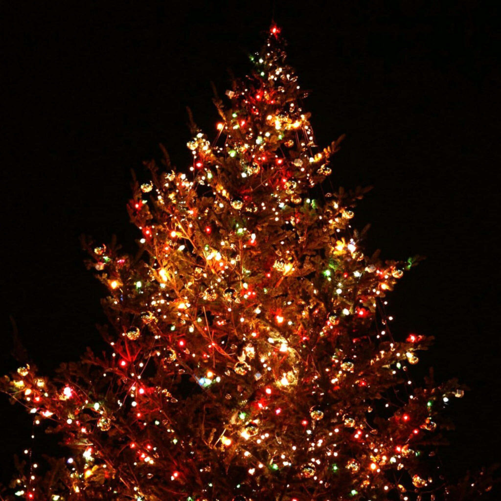 Colorful Christmas Tree Wallpaper for a Festive Tablet Background