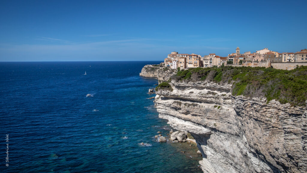 Colorful coastal houses on white cliffs with vibrant greenery above deep blue sea under sunny sky Wallpaper