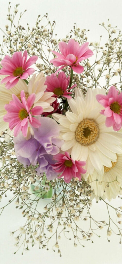 Vibrant Floral Phone Wallpaper: Colorful Daisies & Greenery Background