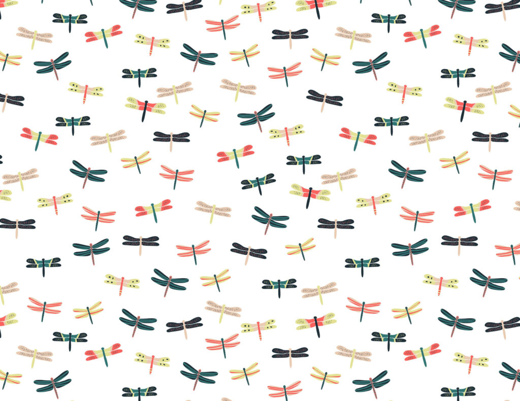 Charming Colorful Dragonfly Wallpaper on White Background