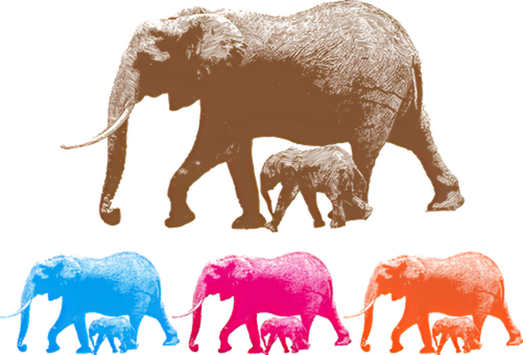 Colorful Elephant Family Silhouettes Wallpaper on Transparent Background